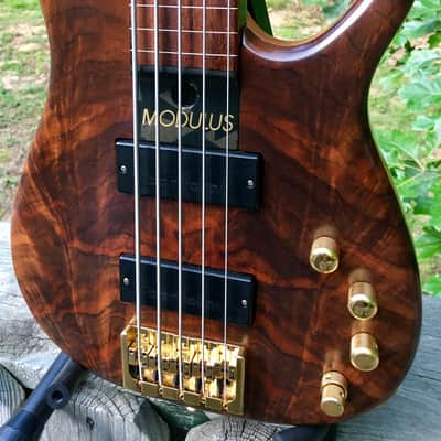 Modulus Q5 lined fretless 1999 figured Walnut top image 2