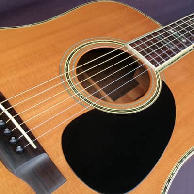 1979 Yairi YW800 B. Rosewood Jacaranda Japan Vintage - Natural+Vintage Martin Replica Hard Case by Tokai image 19