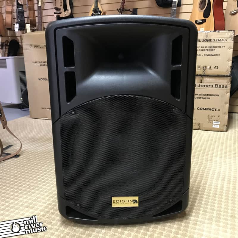 Edison Powered 15" PA Speaker / Monitor image 1