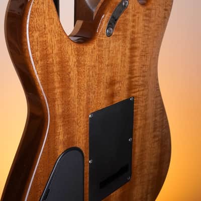 Framus Custom Shop Diablo Supreme X Order Masterbuilt HSH Blue Blackburst image 15