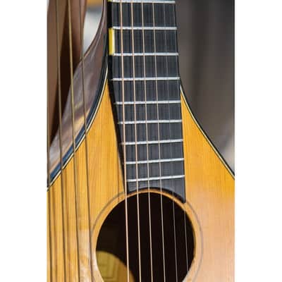 1946 Levin Model 102 12-string Bass Lute natural image 7