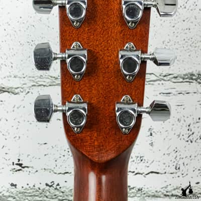Alvarez 5056 Tree of Life Acoustic image 7