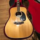 Epiphone FT-365 El Dorado 12  1970s