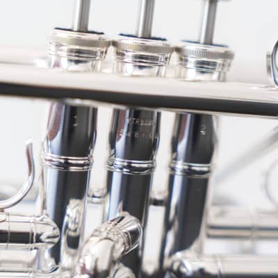 Yamaha YTR-8335IIS Xeno Bb Trumpet (SN 5481xx) image 5