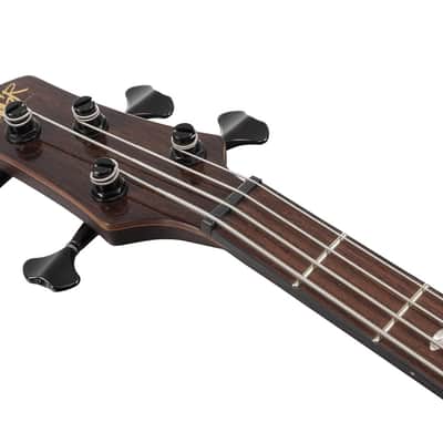 IBANEZ SR4CMLTD 4-Saiter Bass in Caribbean Islet Low Gloss image 4
