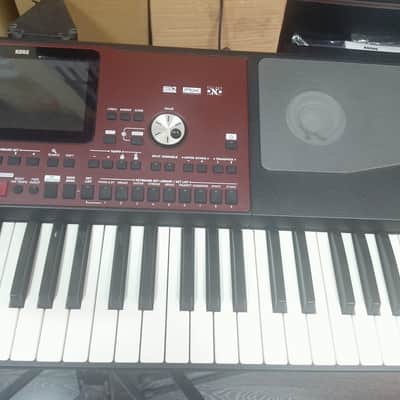 Korg Pa700 OR Professional Arranger - Oriental image 4