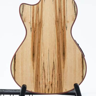 Cordoba 24TCE Tenor Spalted Maple Spruce Ukulele image 4