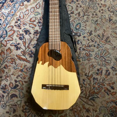 Ronroco 10 String image 2