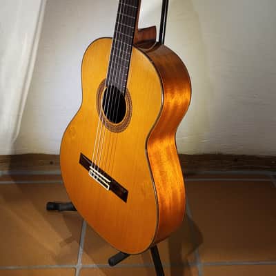 Vimus 18 image 12