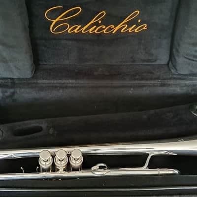 D. Calicchio DT-S1s/3M Dave TRIGG Model | Gamonbrass trumpet image 2