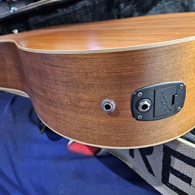 Cole Clark Fat Lady FL2EC-RH-BLBL-Hum Blackwood Acoustic Electric Guitar Right-Handed w/ OHSC image 8