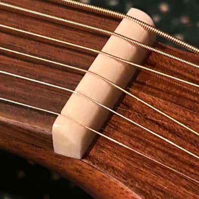 Washburn Bella Elegante S24S Solid Spruce Top Parlor Size Acoustic Guitar image 16