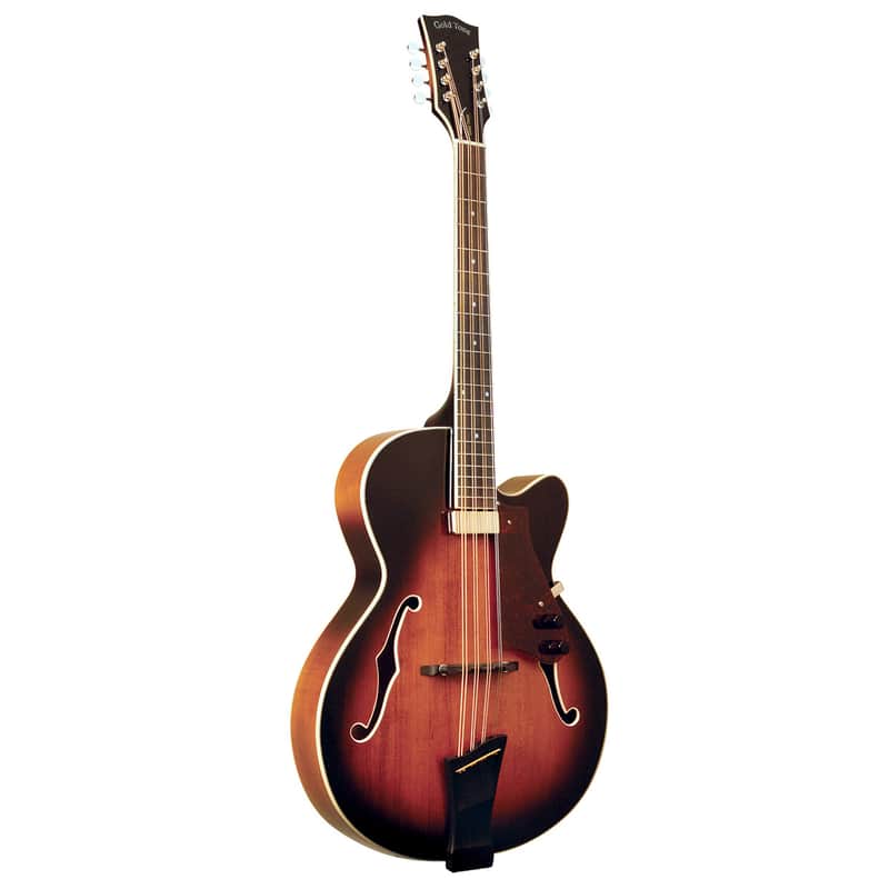 Gold Tone MandoCello image 1