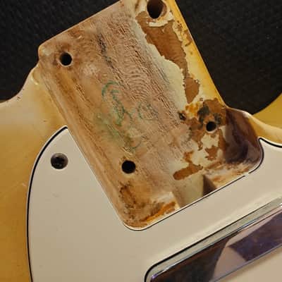Fender Telecaster Blonde 1969 image 21