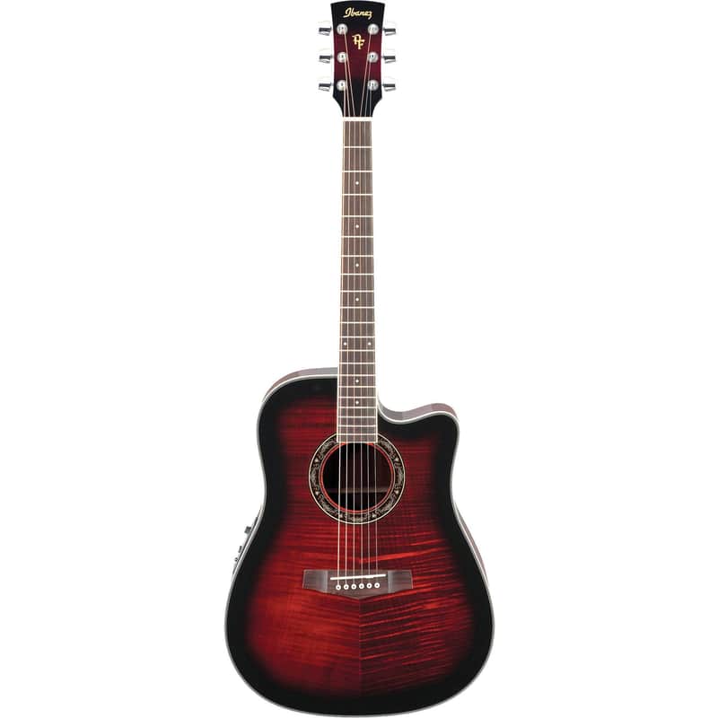 ❤️弦高調整済！「Ibanez Performance PF28ECE」＋ケース Amazon.com: Ibanez PF50C Dreadnought Hard Shell Case for PF