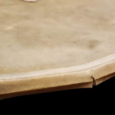 Vintage 1940's-1950's Calfskin 22" Batter Bass Drum Head w/Reinforcement Patch image 7