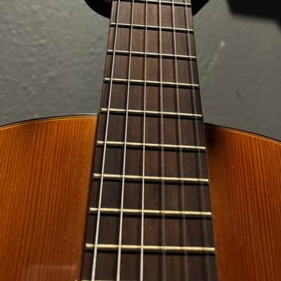 Gould G-45 Handcrafted Classical Guitar (Used) image 4