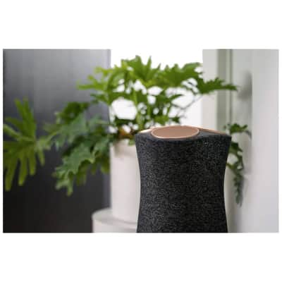 Sony SRS-RA5000 Premium Wi-Fi Enabled 360 Reality Audio Speaker image 7