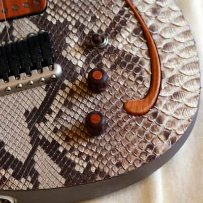 Build to Order GB Liuteria Boutique  Plié 6 string python edition for GIANLUCA GRIGNANI image 19