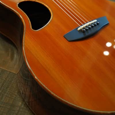 2003 McPherson MG-4.5 Ziricote Redwood Acoustic/Electric Guitar + OHSC image 7