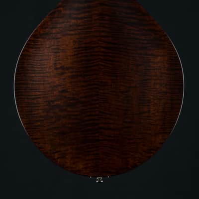 Collings MT Mandola Cream Gloss Top Adirondack Spruce and Flamed Maple NEW image 5