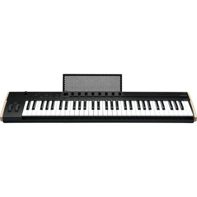 Korg Keystage 61 Poly AT MIDI Keyboard Controller PEDAL KIT image 5