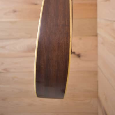 Regal Mandolin 1920s - Natural image 4