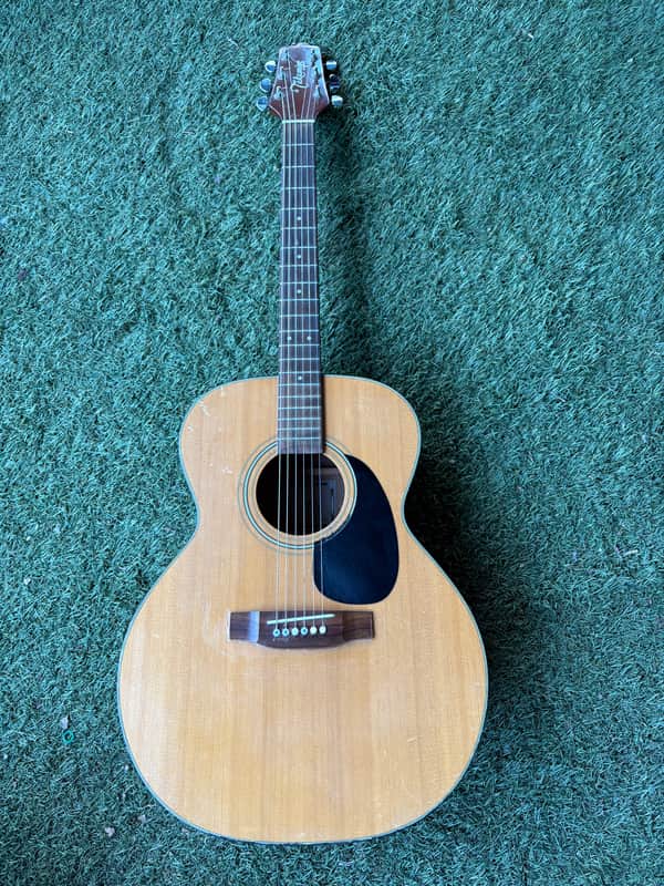 Takamine G-230 1996 - Natural image 1