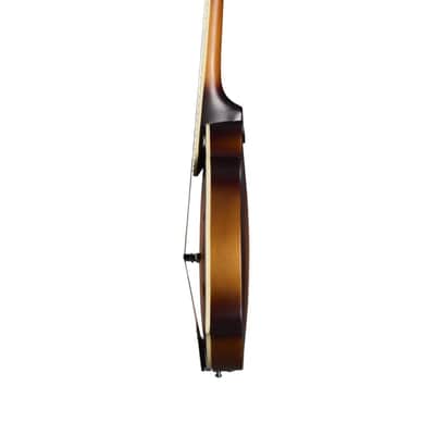 Epiphone F-5 Studio Mandolin w/Gig-Bag - Vintage Sunburst - Clearance image 4