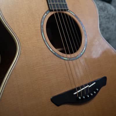 Avalon Ard Ri 2019 image 20
