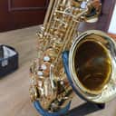 Yanagisawa Alto A900