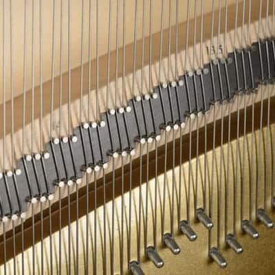 PETROF ANT. PROF 136 CONCERT UPRIGHT PIANO Premier Upright/Grand style image 8