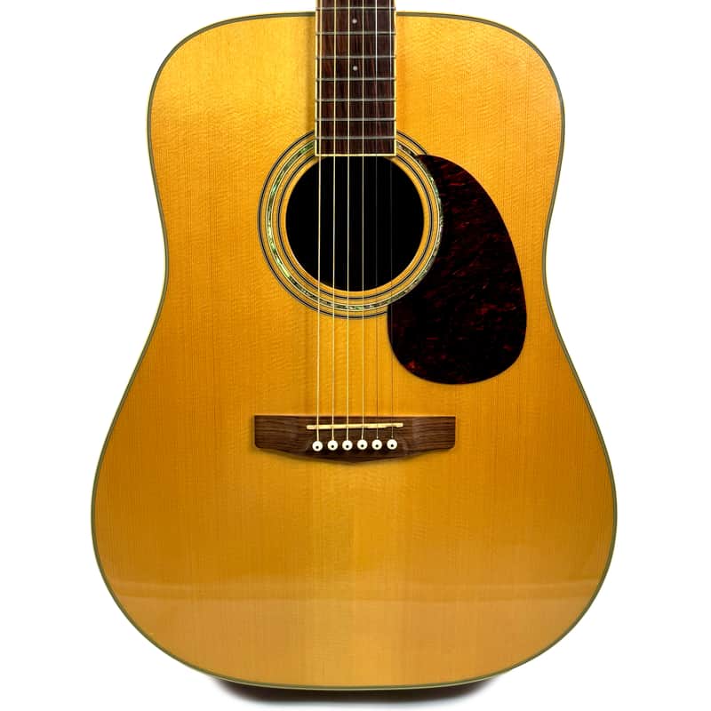 Cort Earth 200 Electro Acoustic Guitar from 2003 image 1