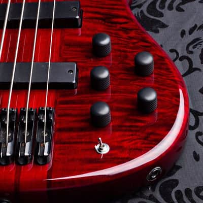 Wolf 5 String Jazz Bass Transparent Red Bass 2016 w/ Gigbag image 3