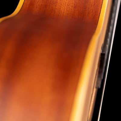 Ortega R131SN Family Series Pro Solid Cedar Top Mahogany Neck Nylon 6-String Classical Acoustic Guitar w/Gig Bag image 10