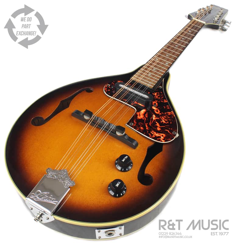 弦楽器 ARIA FlatMandolin AM-200E Aria AM200E Electro Mandolin in Brown Sunburst w/Case | Reverb