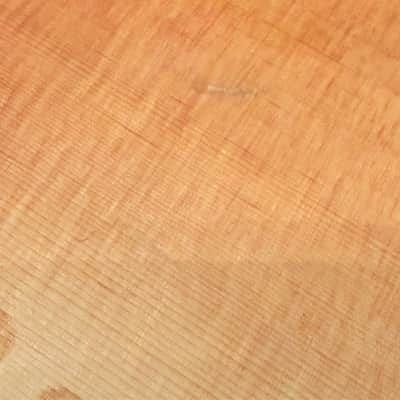 1995 Taylor GA-WS Limited Edition Acoustic Guitar w/OHSC image 6