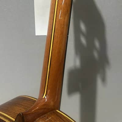 Acoustic Gianni Series Classica Savio 1994 image 11