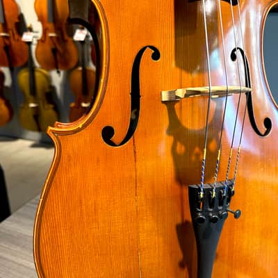Student Cello: 1/2 Cello - Segue Concertino Plus 2016 - Oil varnish image 17