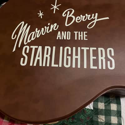 Epiphone Back To The Future ES-345 2025 - Sixties Cherry image 2