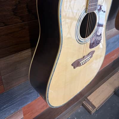 Washburn D-30S acoustic new - gloss image 9