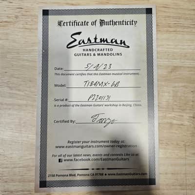 Eastman T184MX - Goldburst - P2201131 image 12