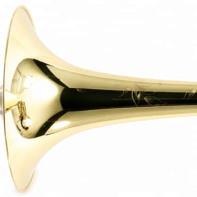 Eastman ETB848 Professional Bass Trombone in Lacquer SN S2504046 image 9