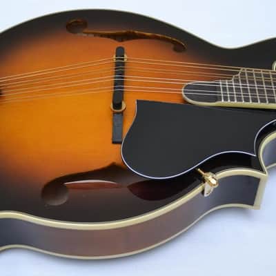 Orpheum OM6SW F-Style Mandolin-All Solid Top, Back & Sides- by Tacoma image 2