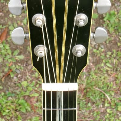 1973 Yairi YW600G Grammer Guitar Style New Jacaranda - Natural+Flight Case image 5