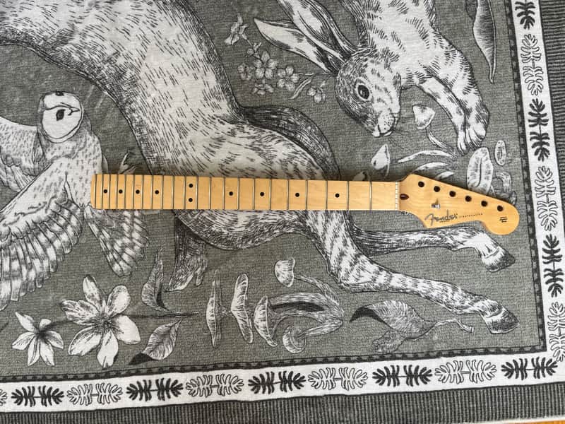 2009 Fender Stratocaster American Standard Maple Neck USA image 1