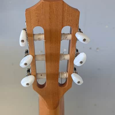 Taylor 212ce-N Plus 2022 - Gloss Body, Matte Neck. image 9