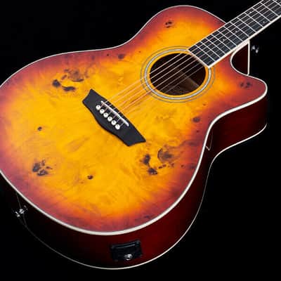 Washburn DFBACEA Deep Forest Burl Grand Auditorium Acoustic Electric Guitar Amber Fade Amber Fade image 18