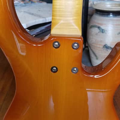 Regenerate Guitar Works Left Handed 5 String Bass. Boutique Builder from Oregon, USA. image 9