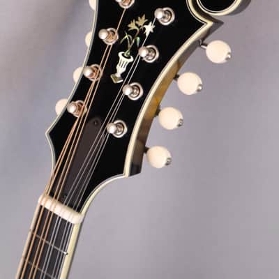 Bourgeois M5-F-SB: F-style, F-hole Mandolin (Sunburst) Aged Tone Adirondack Spruce Top, Aged Tone European Maple back and sides. 2026 image 16